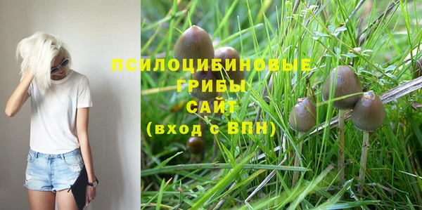 наркотики Белокуриха