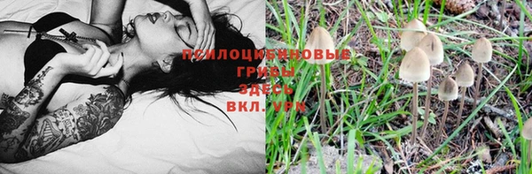 spice Белоозёрский