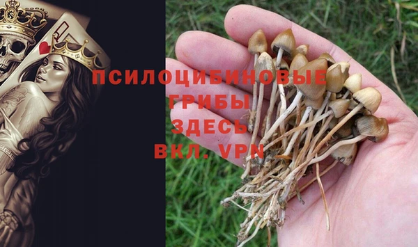 наркотики Белокуриха