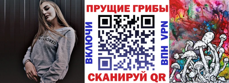 Галлюциногенные грибы ЛСД  Брюховецкая 